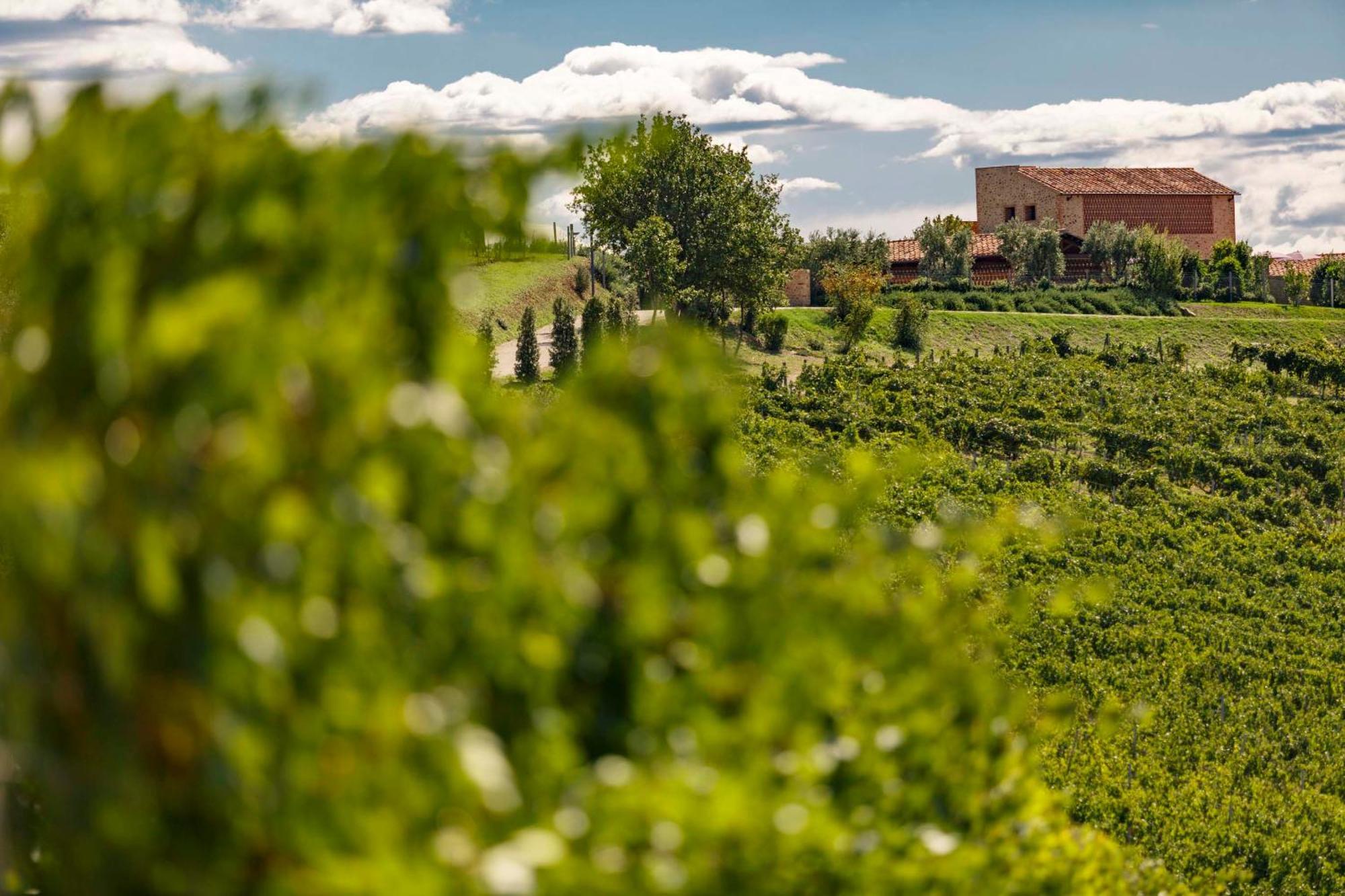 Tenuta Di Montecucco - Collemassari Hospitality Cinigiano Exterior photo